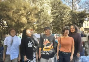 哈兰德：从天才少年到足球巨星的辉煌旅程与未来展望